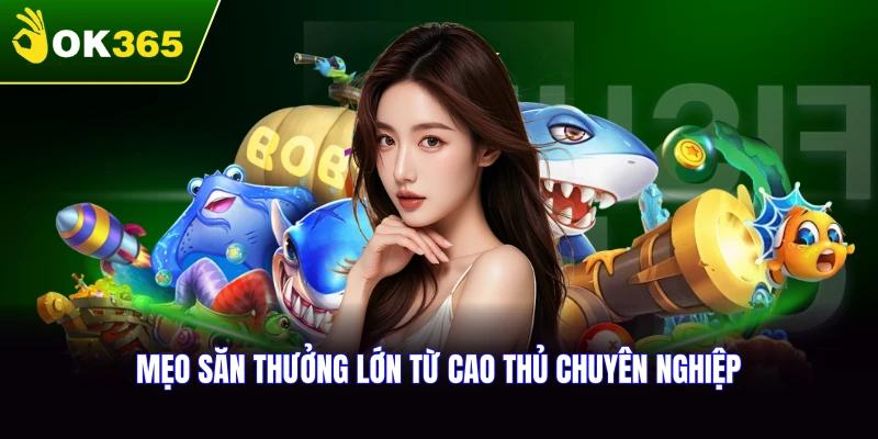 Mẹo săn thưởng lớn từ cao thủ chuyên nghiệp