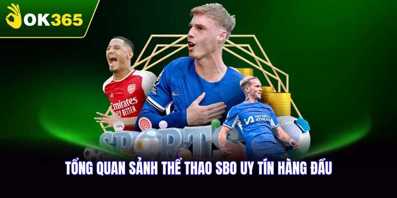 Tổng quan sảnh thể thao SBO cùng OK365